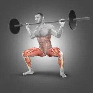 squat sumo muscles solicites